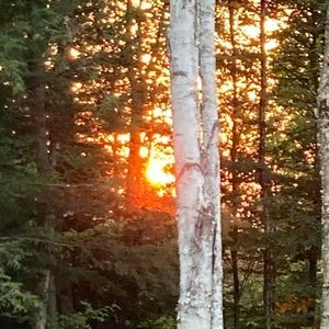 Meet your Posher, Jocelyn